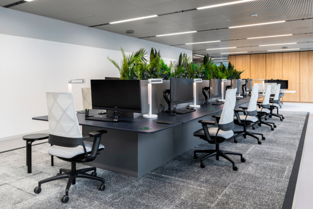 Referenzbild_cnx88