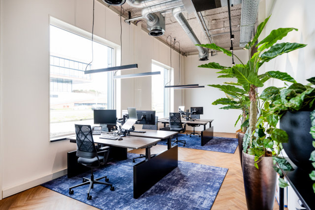 Referenzbild_cnx88