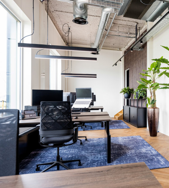 Referenzbild_cnx88