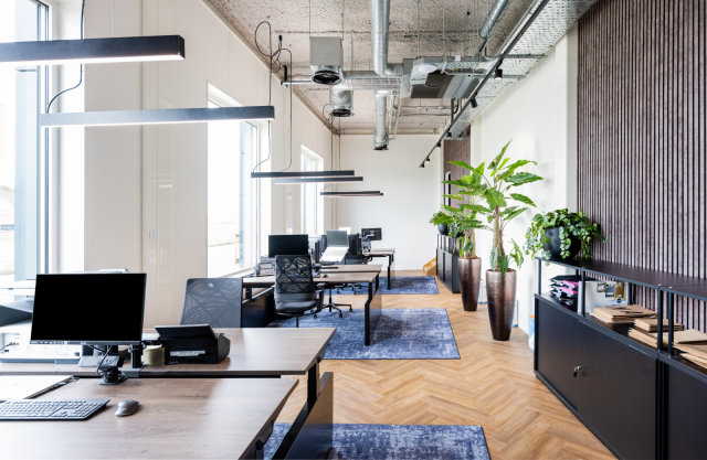 Referenzbild_cnx88