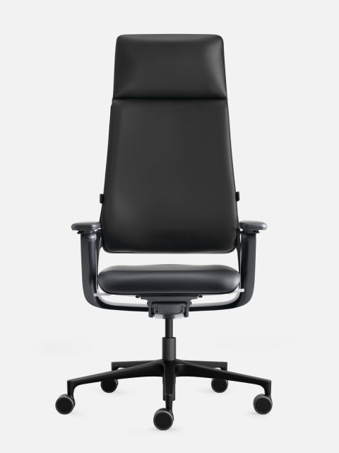Freistellerbild Connex Padded Highback