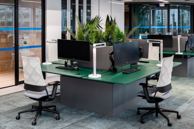 Referenzbild_cnx88
