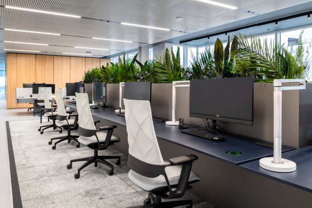 Referenzbild_cnx88