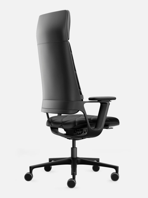 Freistellerbild Connex Padded Highback