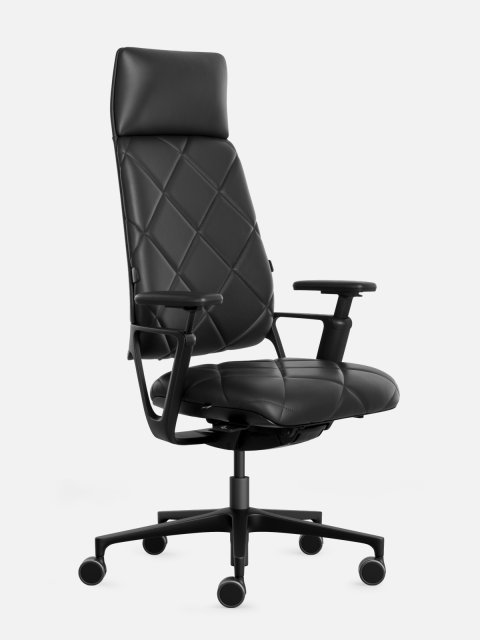 Freistellerbild Connex Padded Highback
