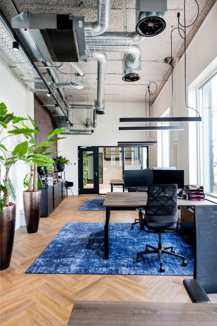 Referenzbild_cnx88